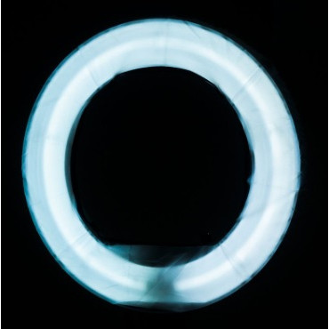 Лампа Ring Light 18 55W