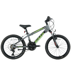 Детский велосипед Bisan 20 KDX2600 (PR10010392) серый/зеленый