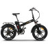 Elektriskais velosipēds SKYJET 20 RSIII Pro melns matēts
