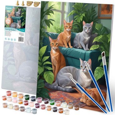 Glezna krāsošanai pēc numuriem 40x50 cm Massido «Kaķi»