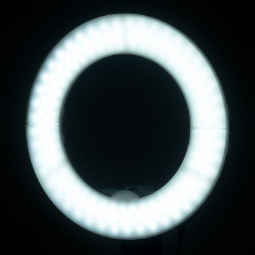 Gredzenveida LED Lampa 10 8W (127937)