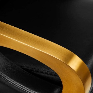 Мойка с креслом Gabbiano C019G Black