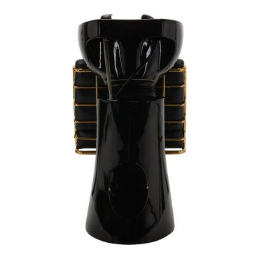 Мойка с креслом Gabbiano Prato Gold Black
