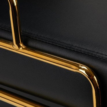 Мойка с креслом Gabbiano Prato Gold Black